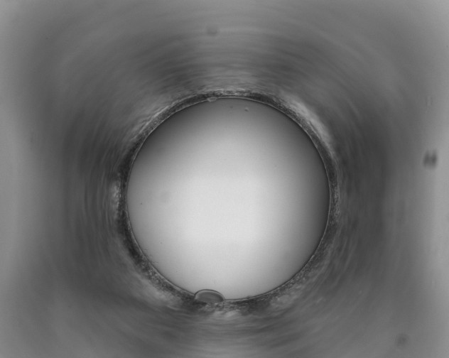 X0000090870113200707271003