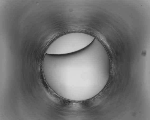 X0000090870114200707271003