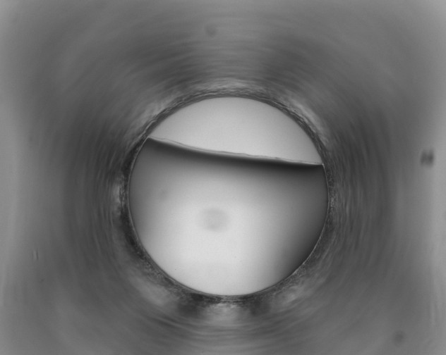 X0000090870119200707271003