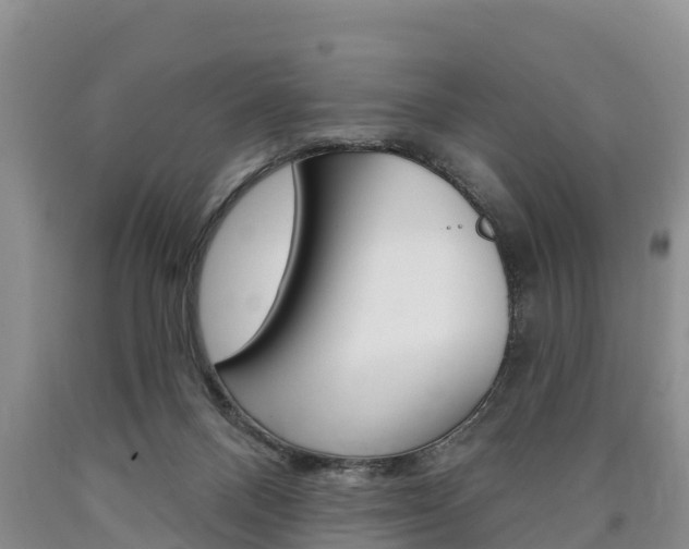 X0000090870120200707271003