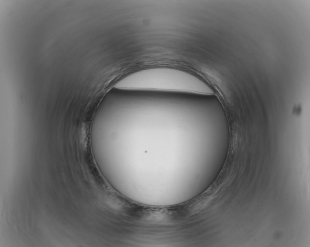 X0000090870121200707271003