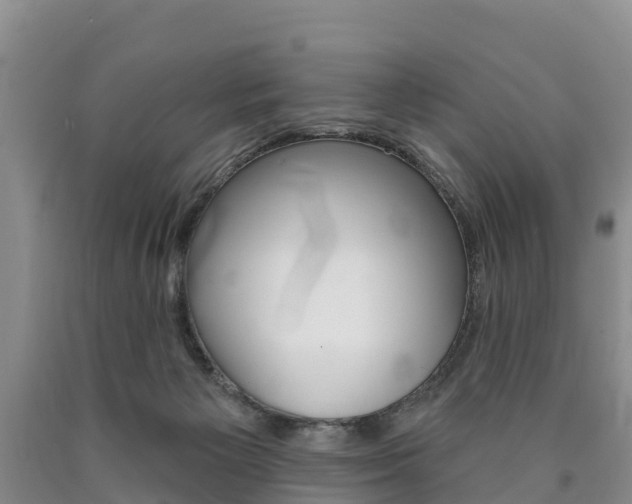 X0000090870125200707271003