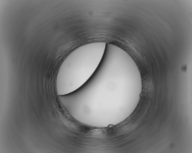 X0000090870126200707271003