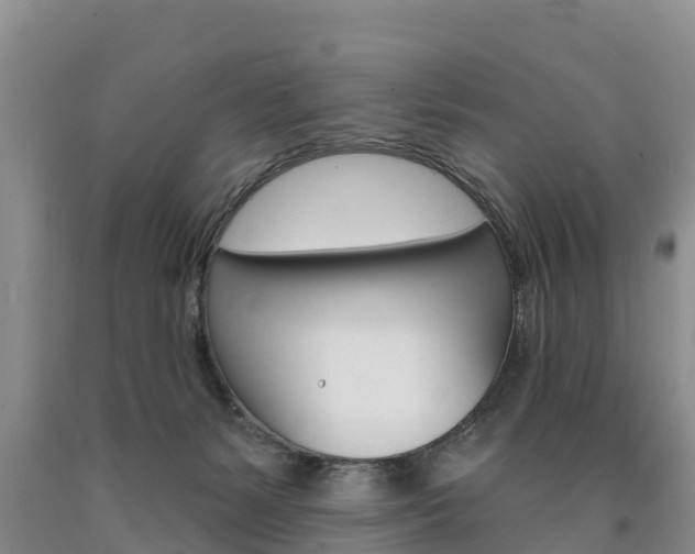 X0000090870127200707271003