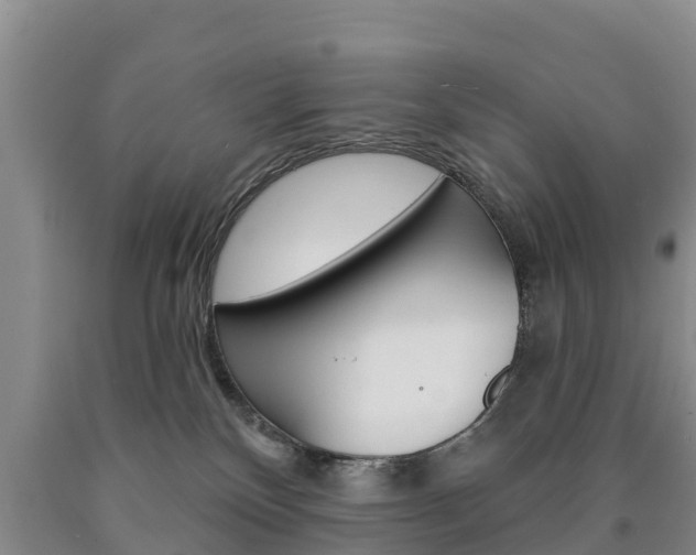 X0000090870136200707271003