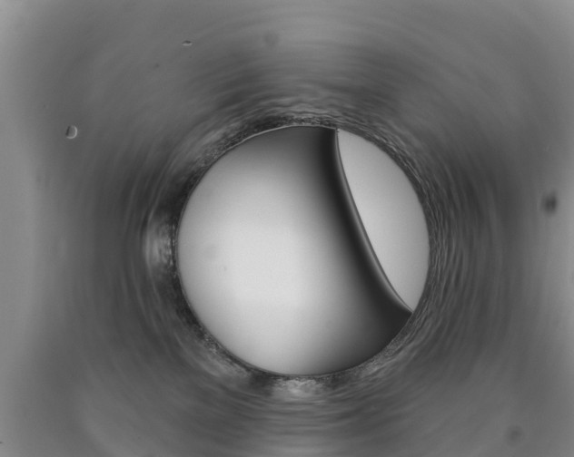X0000090870137200707271003