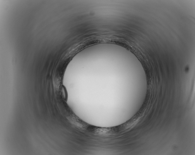 X0000090870139200707271003