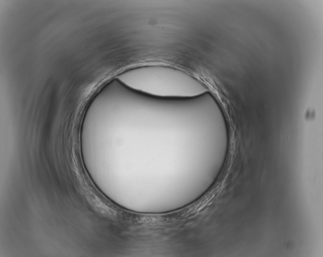 X0000090870145200707271002