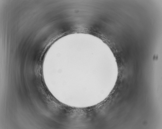 X0000090870146200707271002