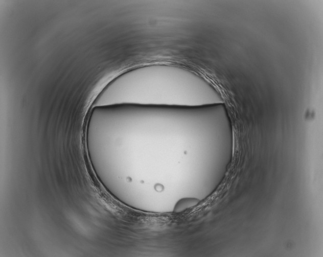 X0000090870147200707271002