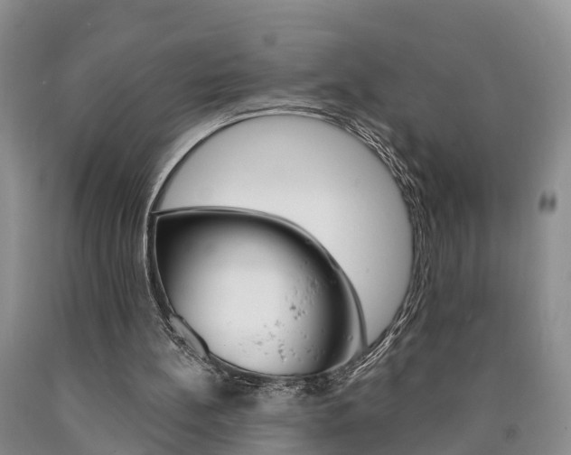 X0000090870148200707271002