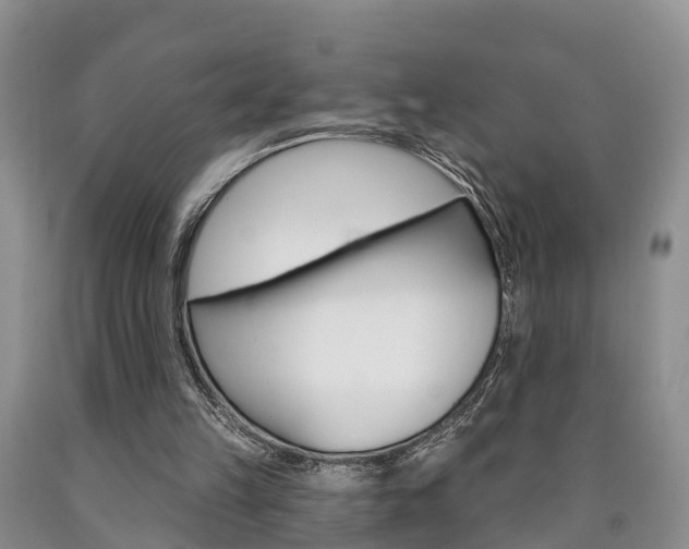 X0000090870149200707271002