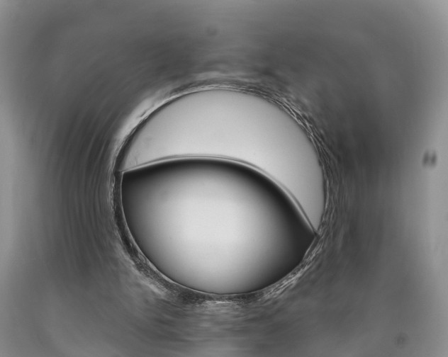 X0000090870150200707271002