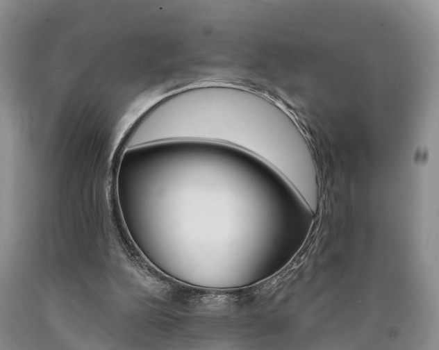 X0000090870152200707271002