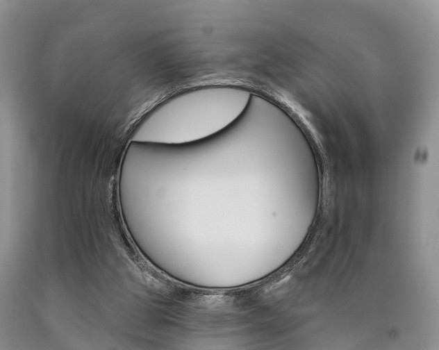 X0000090870153200707271002