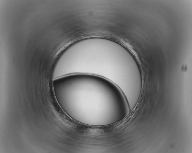 X0000090870154200707271002