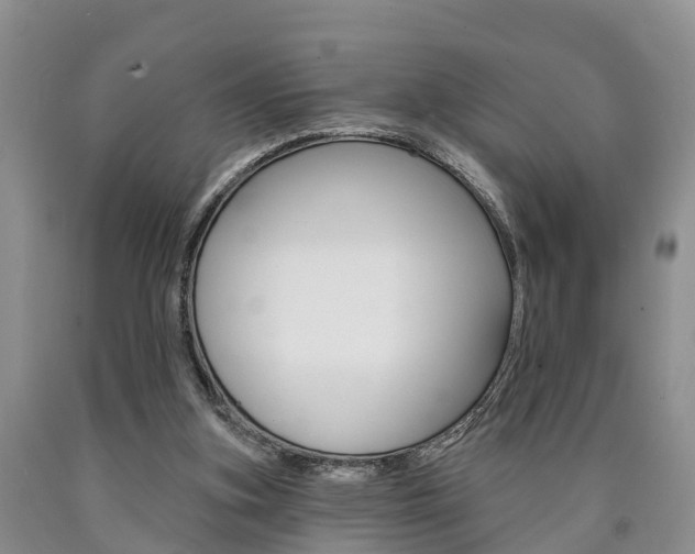 X0000090870155200707271002