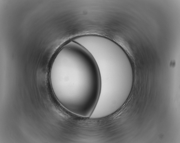 X0000090870156200707271002