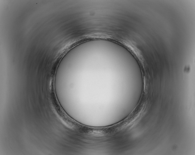X0000090870157200707271002