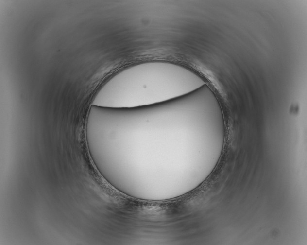 X0000090870161200707271002
