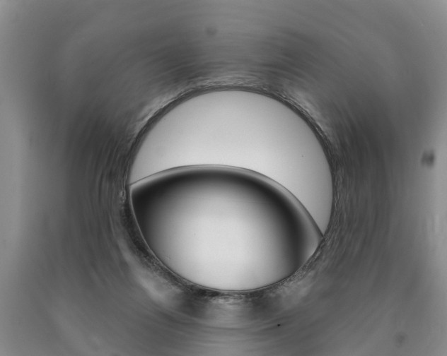 X0000090870164200707271002