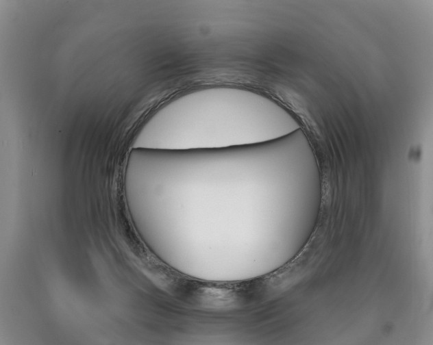 X0000090870167200707271002