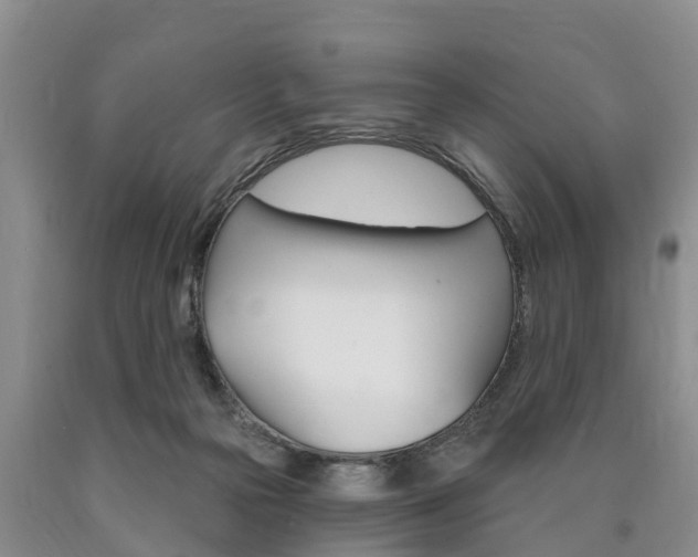 X0000090870169200707271002