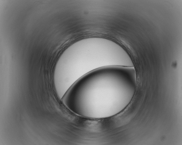 X0000090870170200707271002