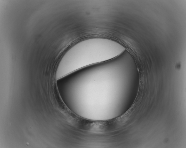 X0000090870172200707271002