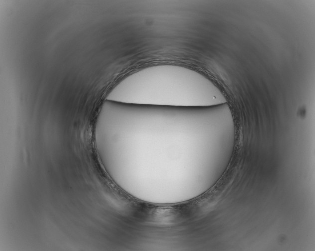 X0000090870173200707271002