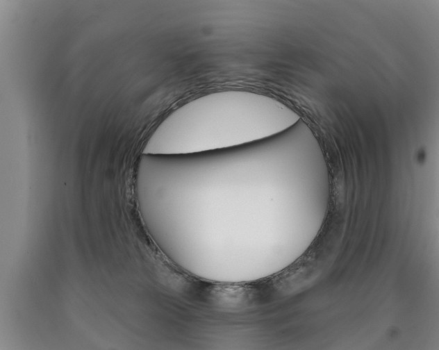 X0000090870181200707271003