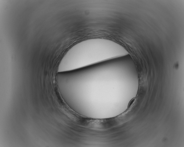 X0000090870182200707271003
