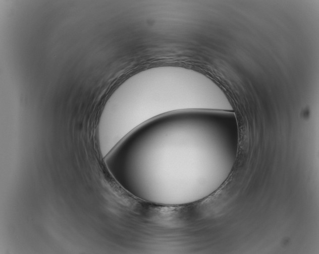 X0000090870184200707271003