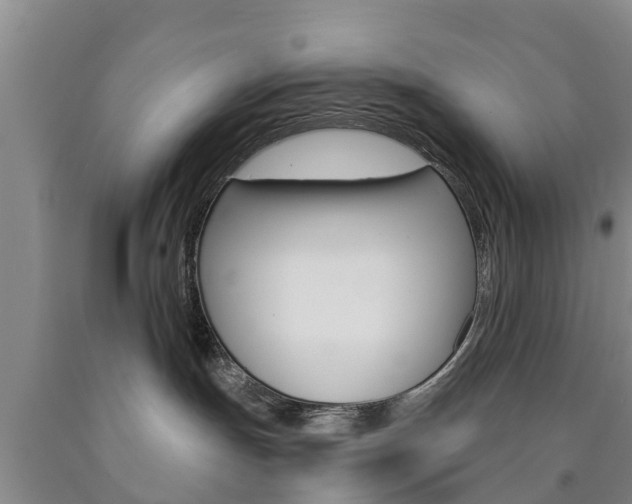 X0000090870191200707271003