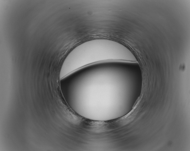 X0000090870192200707271003