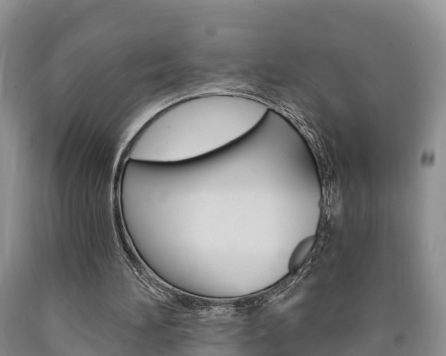 X0000090870196200707271002