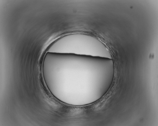 X0000090870198200707271002