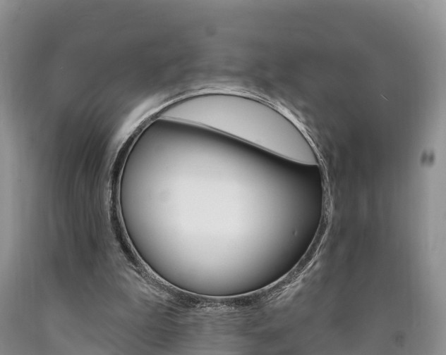 X0000090870199200707271002