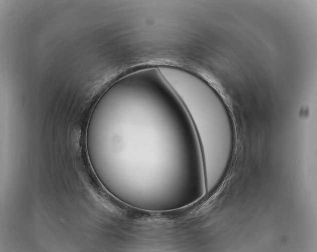 X0000090870201200707271002