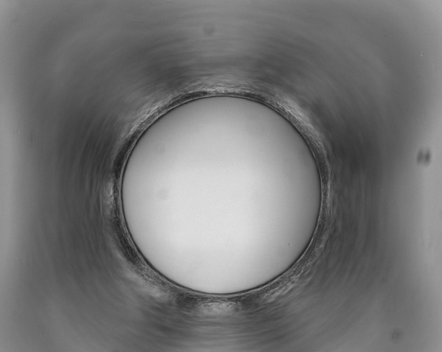 X0000090870202200707271002