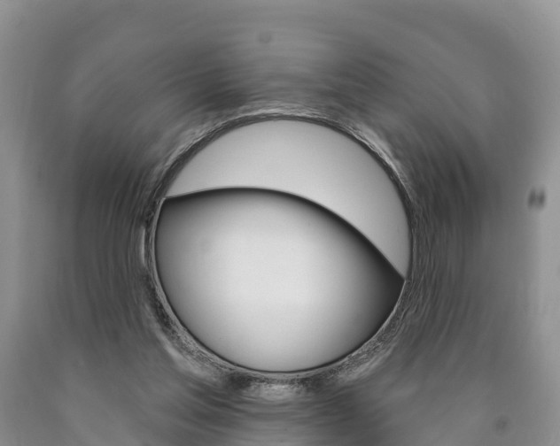 X0000090870205200707271002