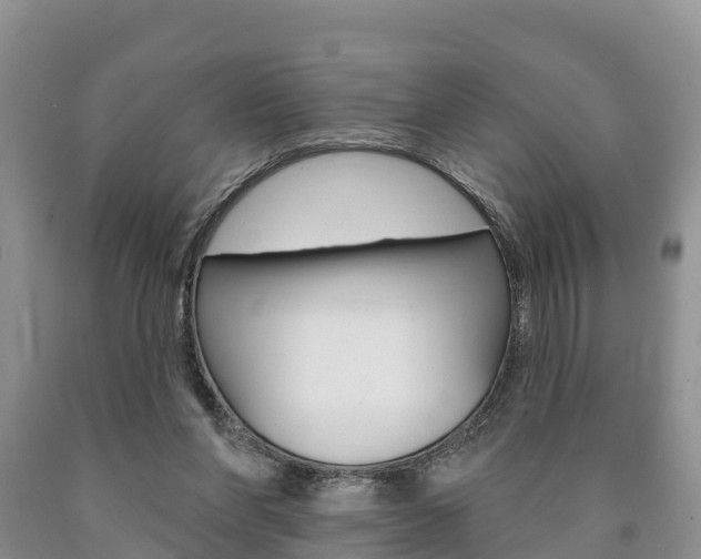 X0000090870206200707271002