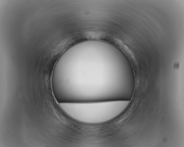 X0000090870209200707271002