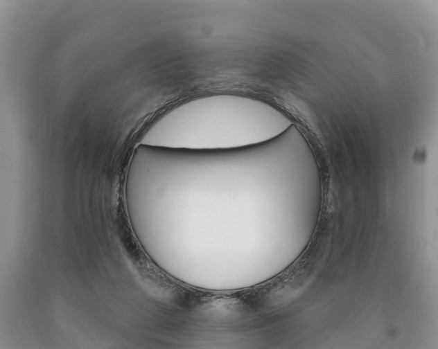 X0000090870210200707271002