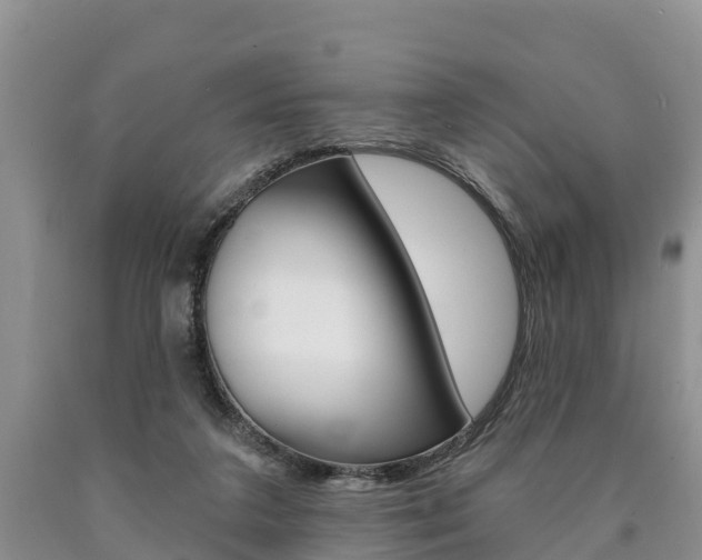 X0000090870211200707271002