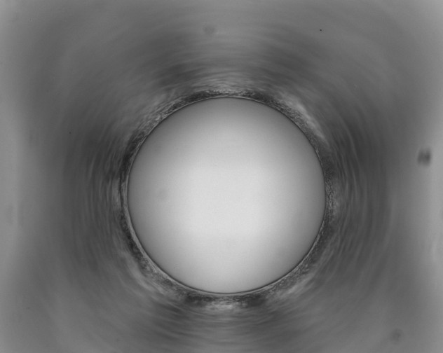 X0000090870213200707271002