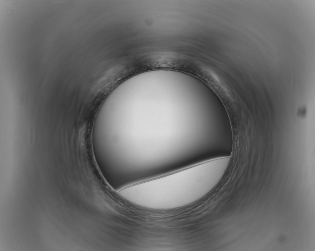X0000090870217200707271002