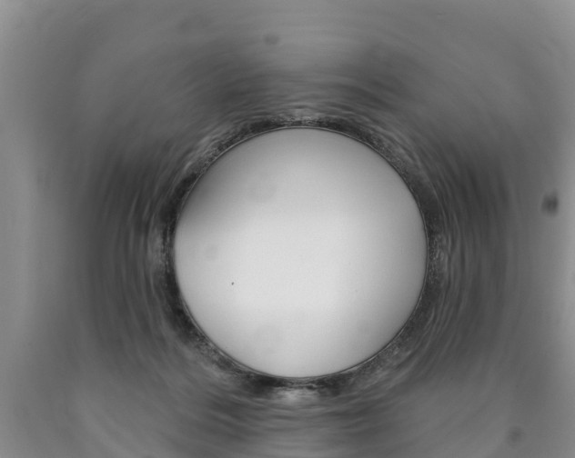 X0000090870220200707271002