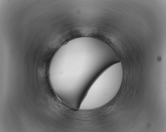 X0000090870221200707271002