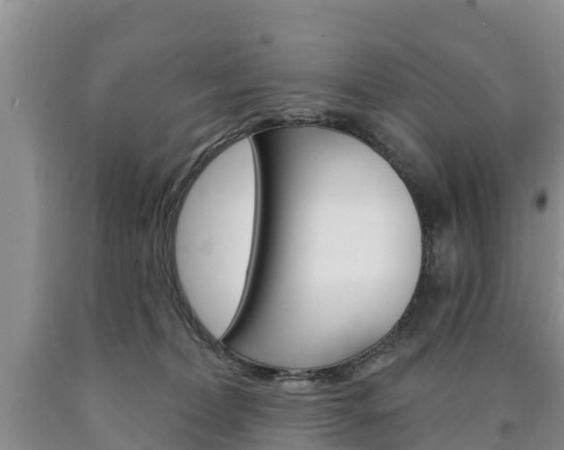 X0000090870228200707271002